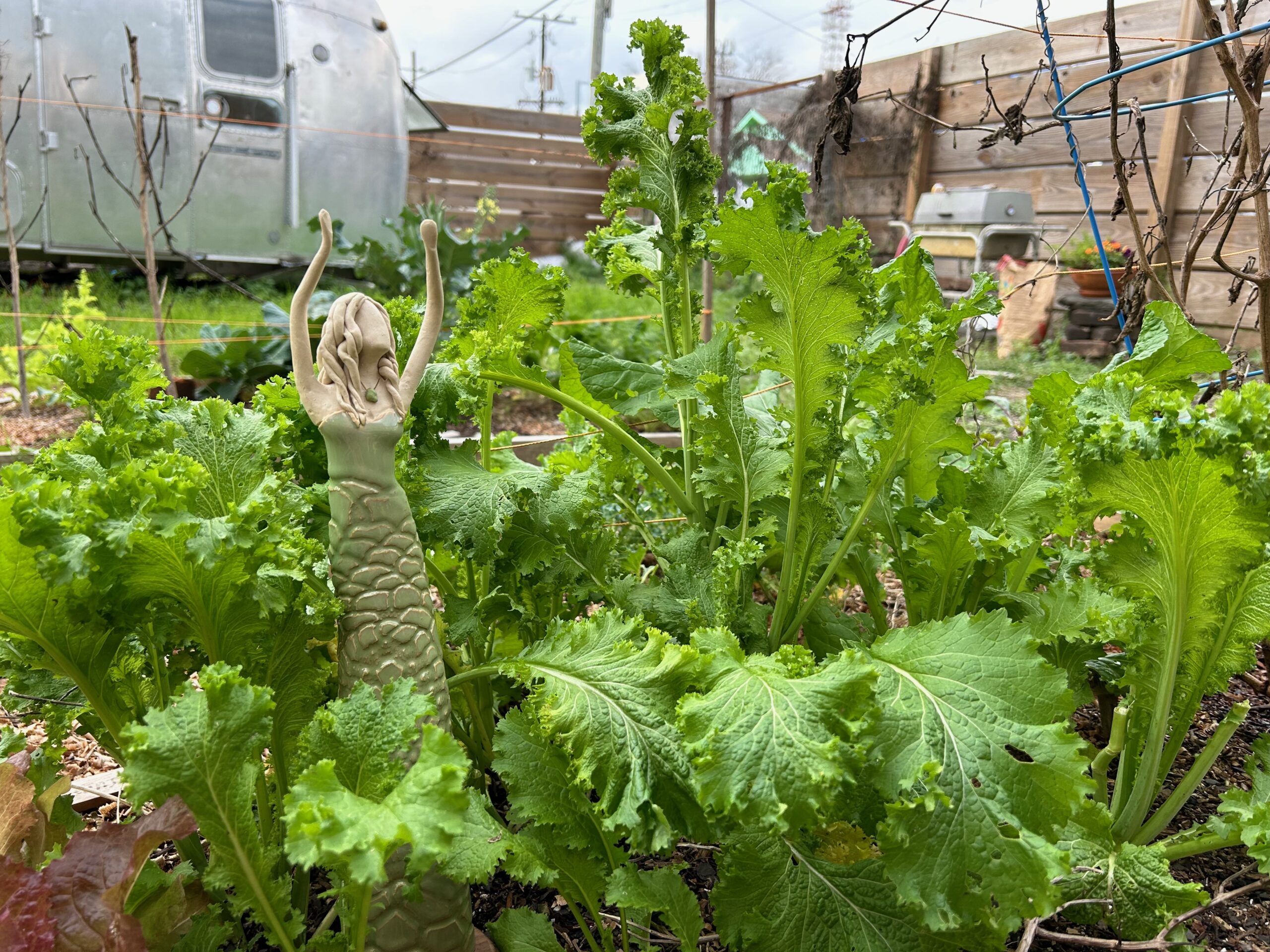 Swan River Yoga New Orleans Yoga & Wellness