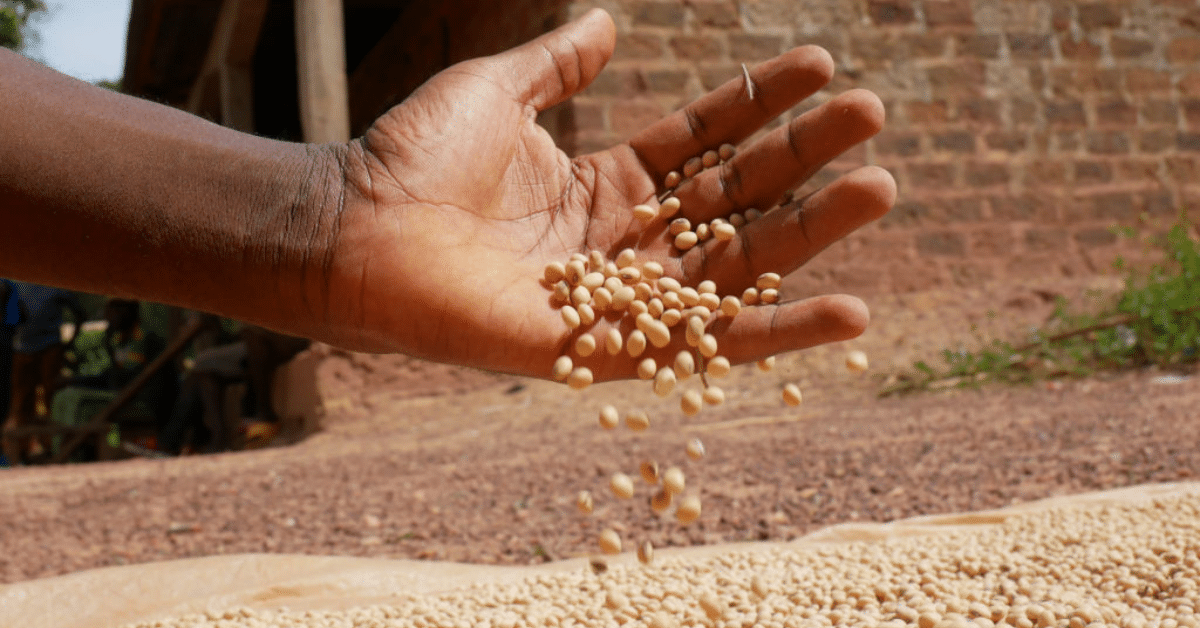 The global food crisis Causes, risks and solutions SweDev