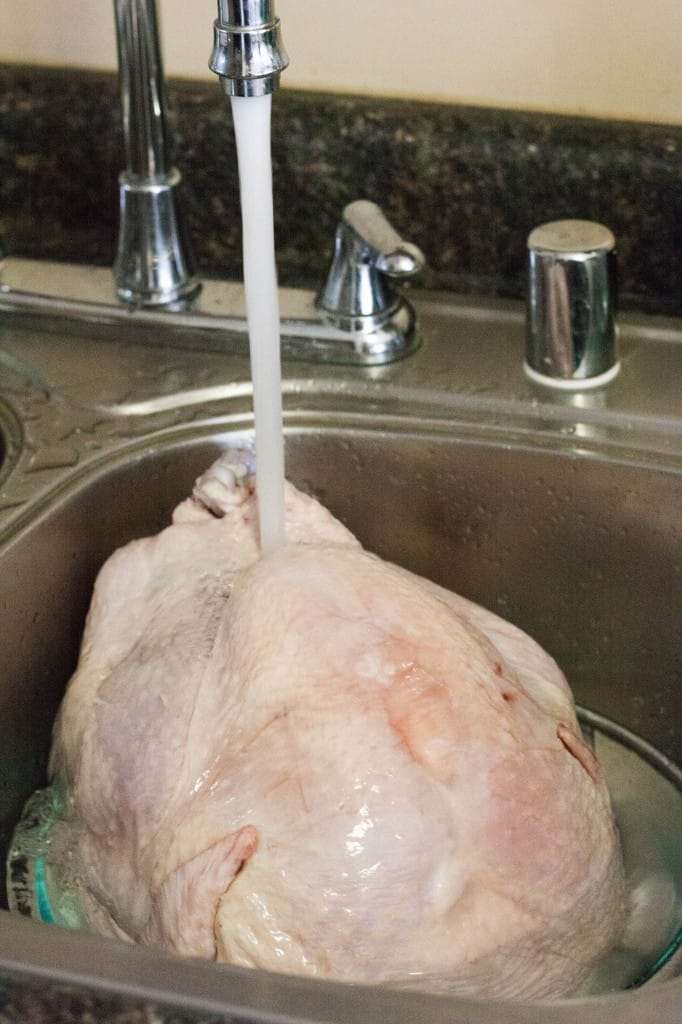 How Long To Thaw A Turkey In Water