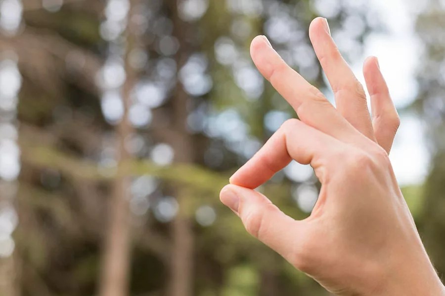 10 Powerful Neuropathy Exercises to Reclaim Control of Your Hands
