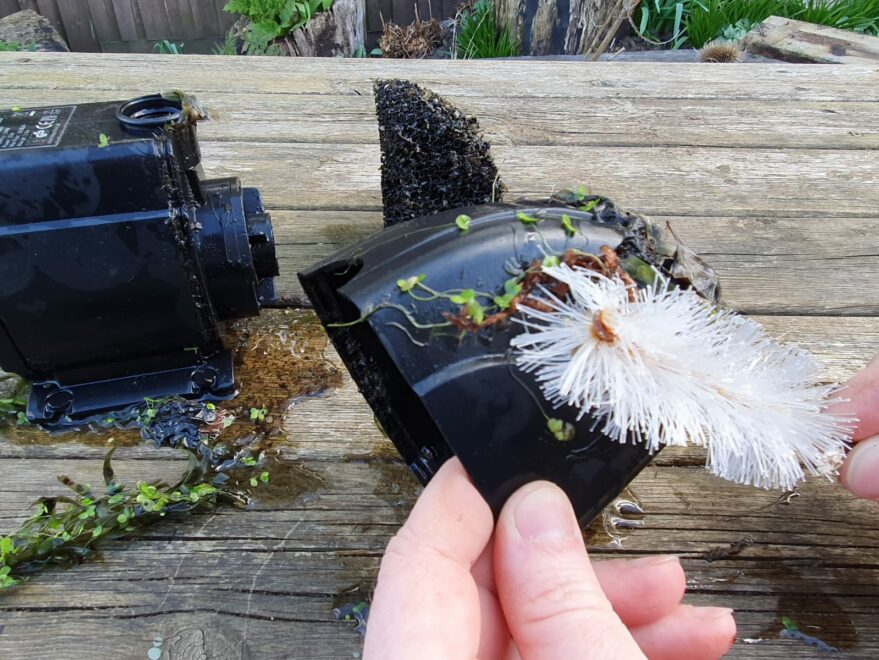 How to clean a pond pump Help Guides