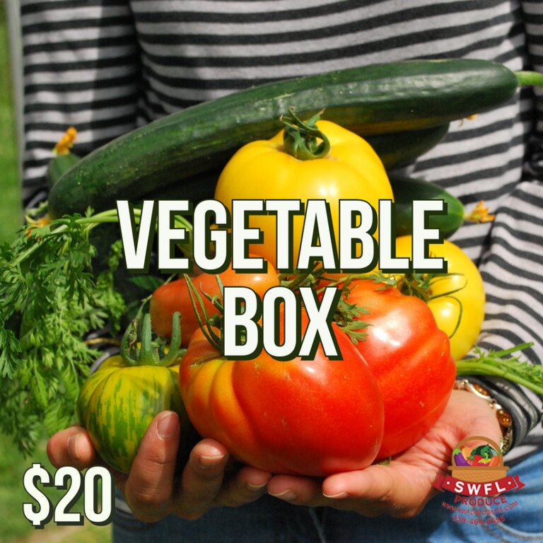 BiMonthly Vegetable Box Subscription SWFL Produce