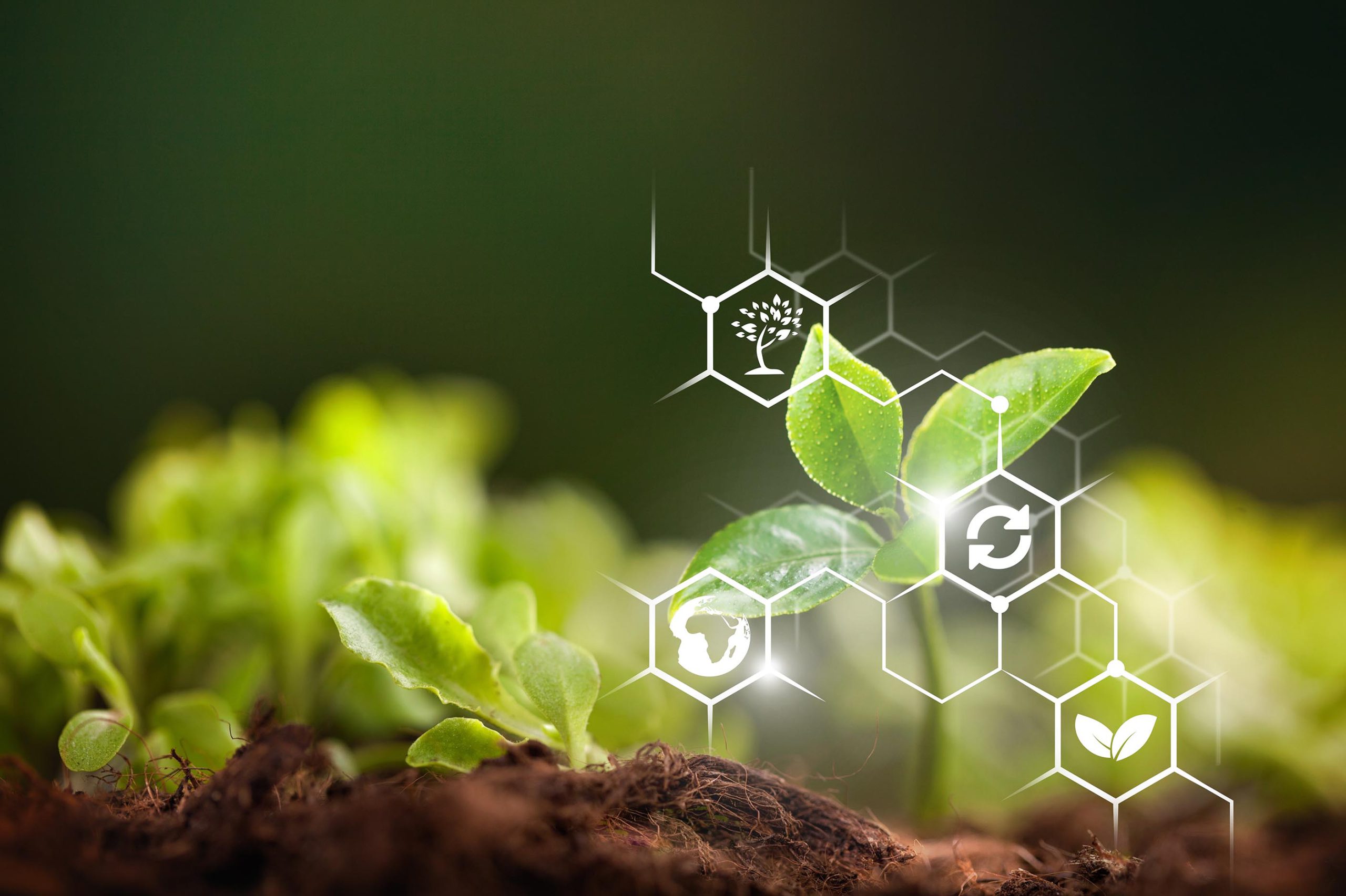 Agriculture Business Management Southwestern Illinois College