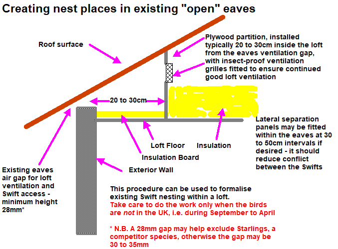 Nest Places in Eaves