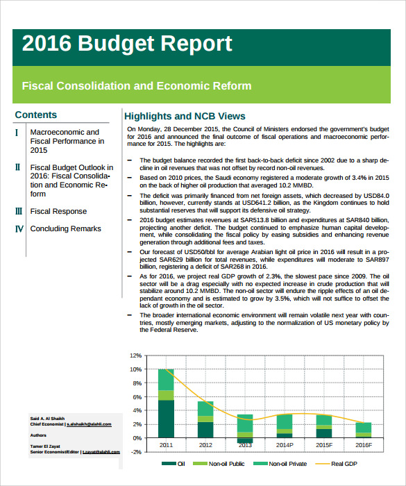 Annual Budget Report Template PROFESSIONAL TEMPLATES PROFESSIONAL