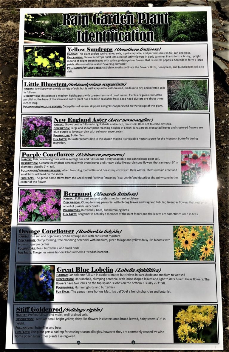 Rain Garden Southwestern Indiana Master Gardener Association