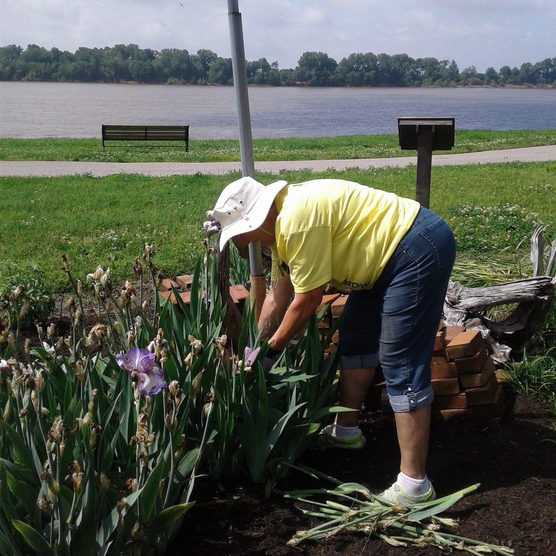Newburgh Dam Garden Southwestern Indiana Master Gardener Association