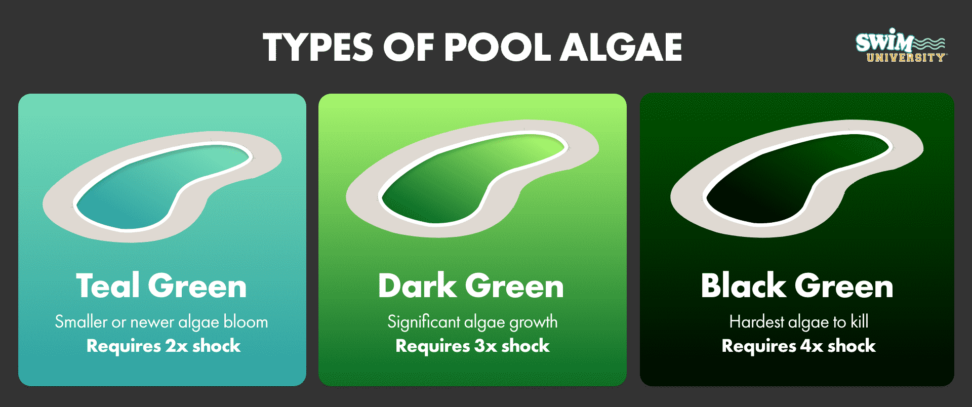 How Much Shock Should You Add to Your Pool The Pool Life
