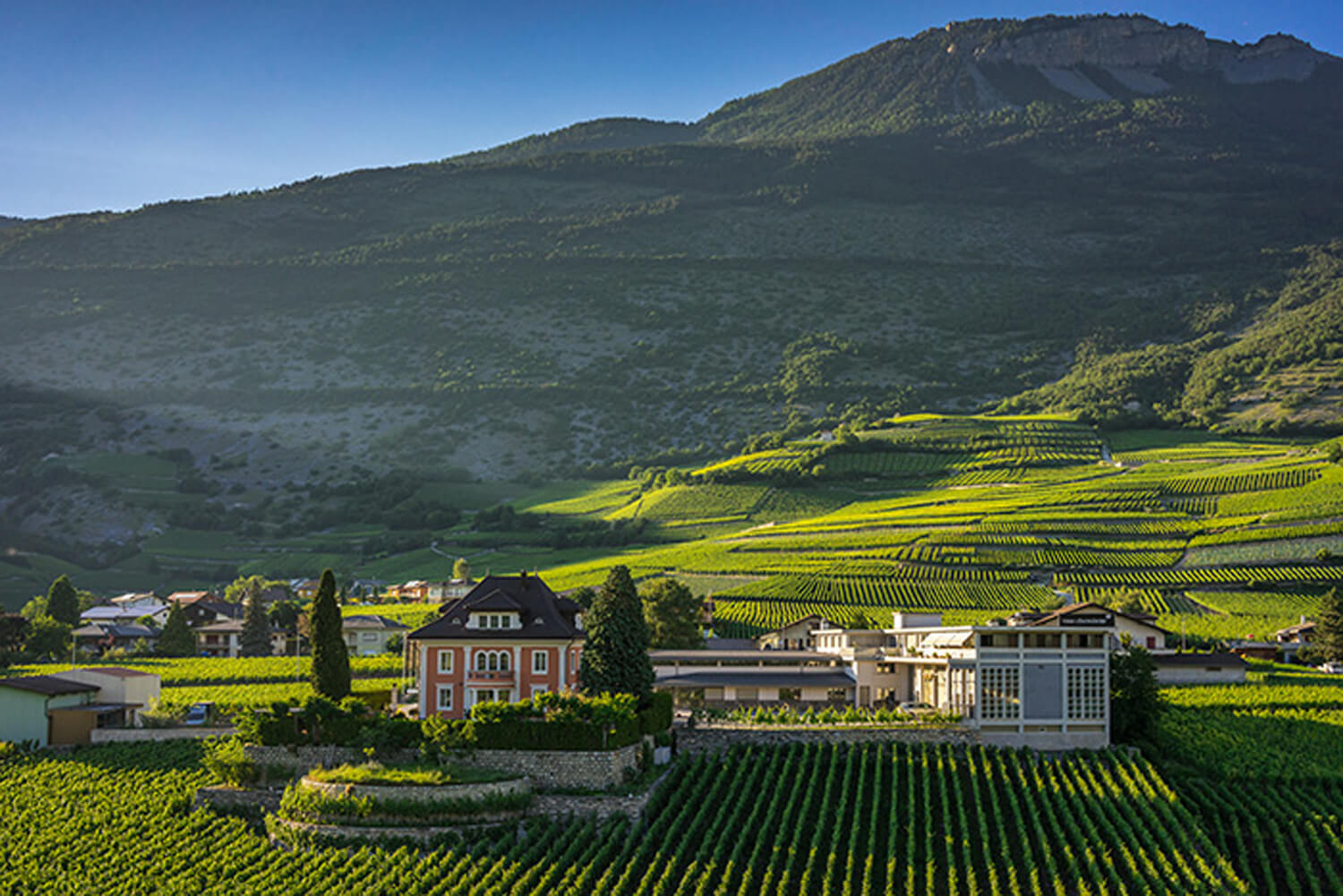 Swiss Wine Chất lượng là ưu tiên Swiss Wine