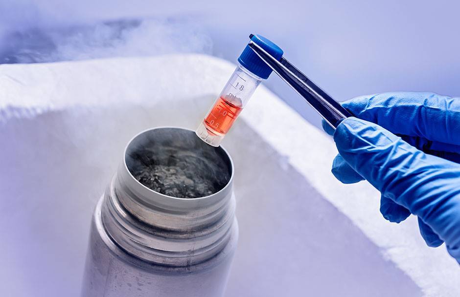 What You Need To Know About Egg Banking and Freezing Switch Back Journal