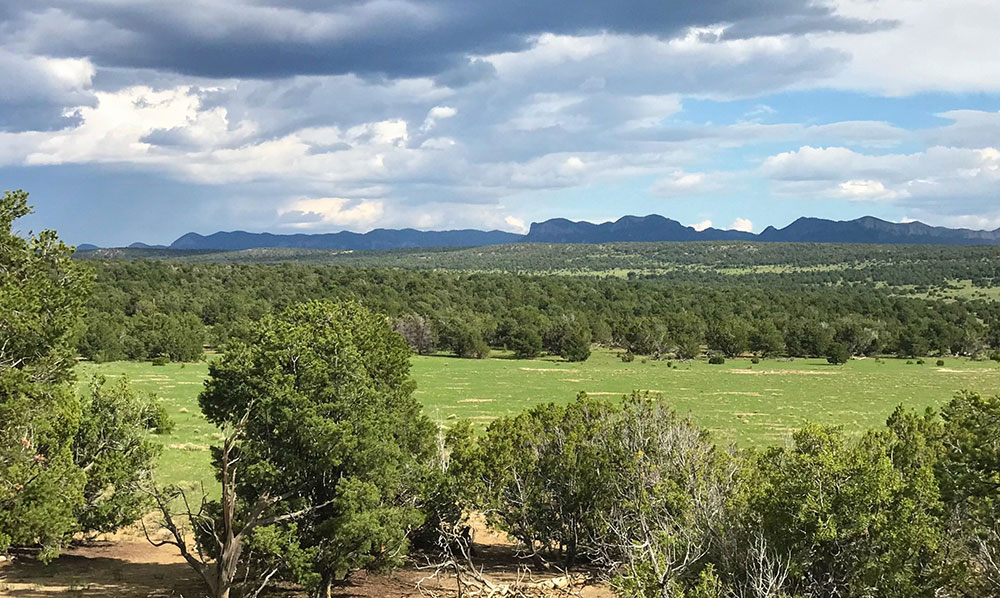 Ponderosa Ranch Photo Gallery New Mexico Ranch Land for Sale