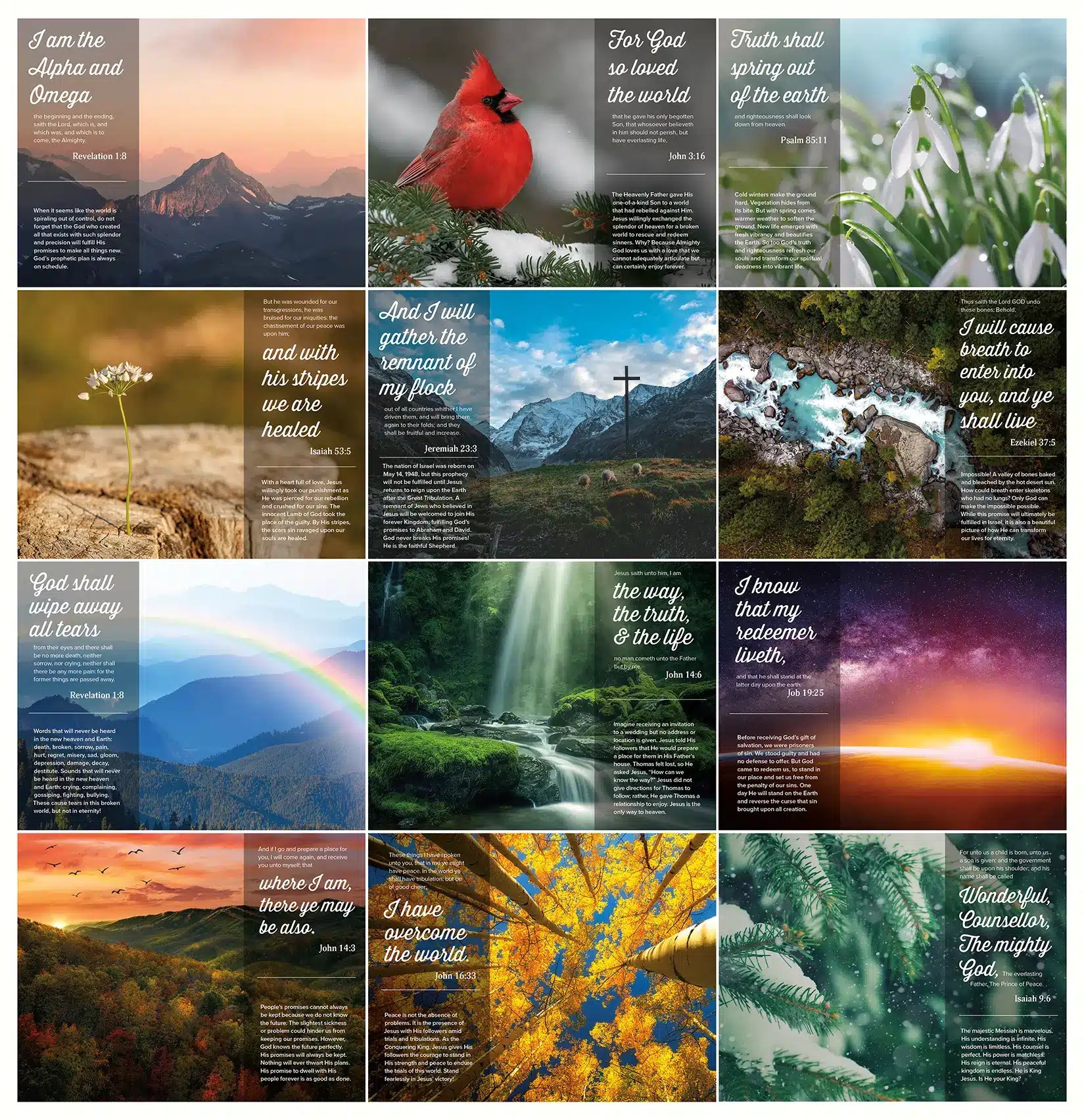 Foretold & Fulfilled 2025 Prophecy Calendar SWRC