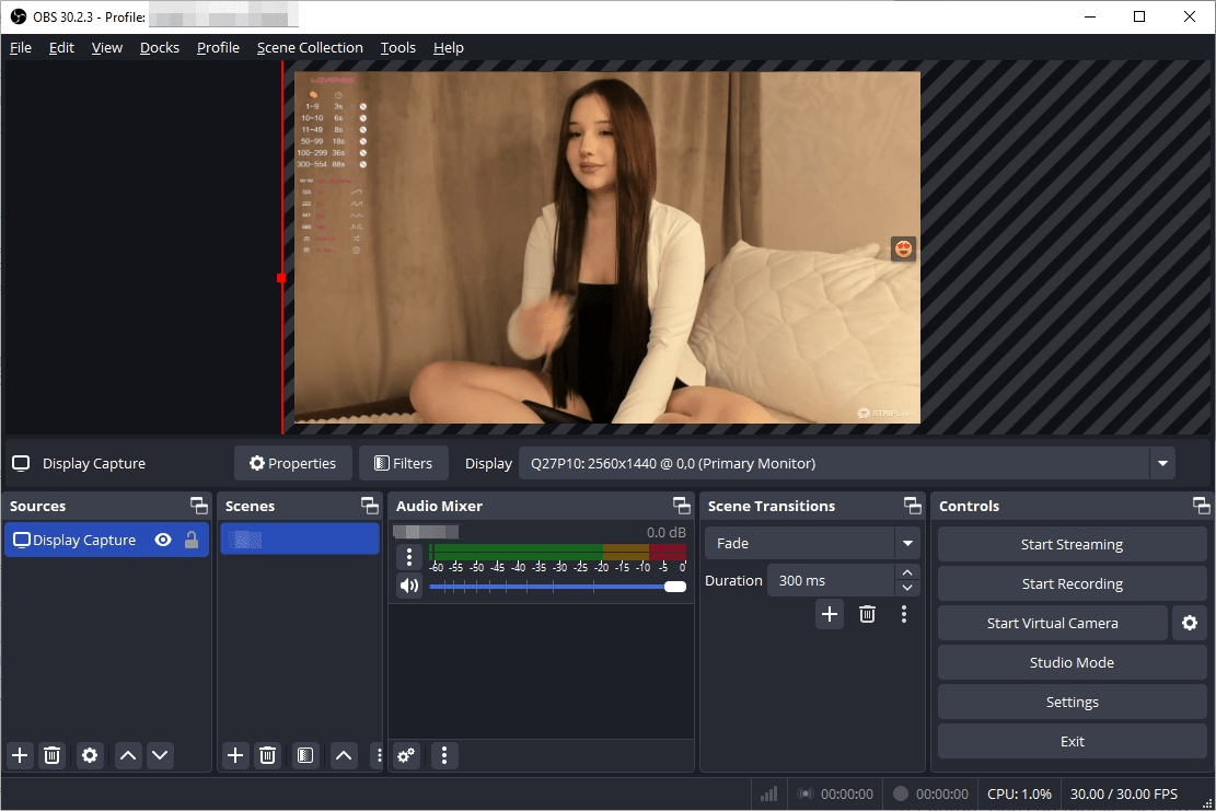 The Complete Guide on How to Record Stripchat - Swyshare