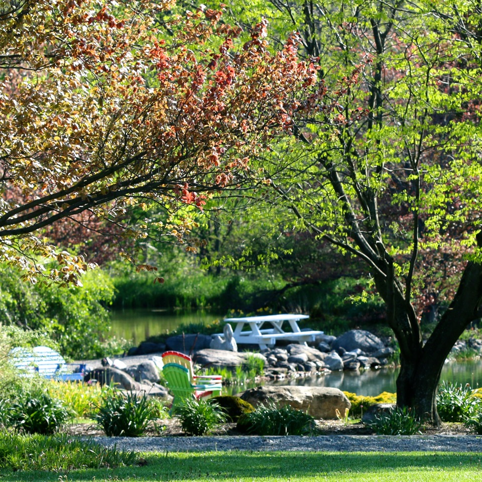 Sycamore Hill Gardens Where Nature and Beauty are One