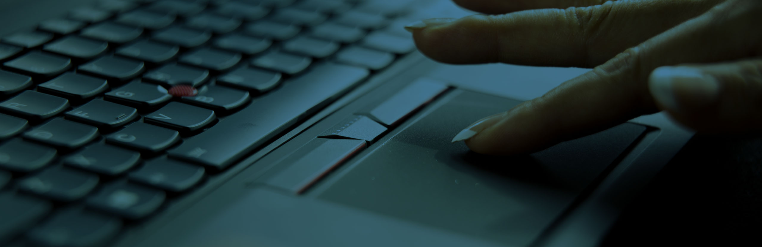 PC & Peripherals TouchPad, TouchStyk, Fingerprint TrackPad Synaptics