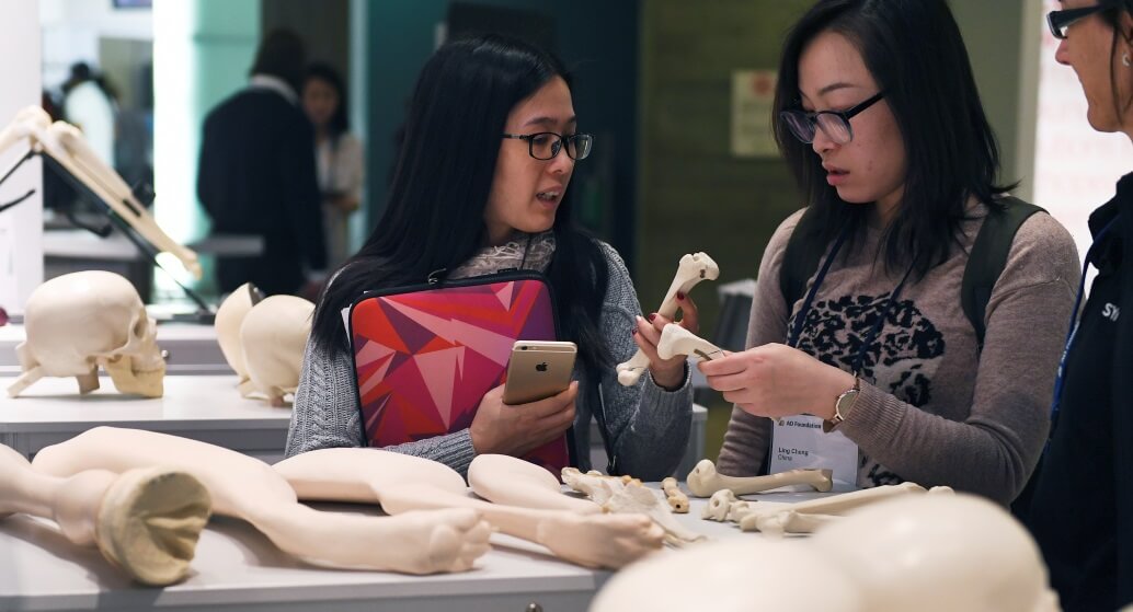 Veterinary Models SYNBONE