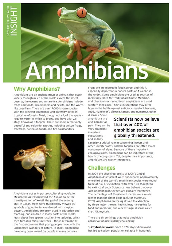 SE Protects Amphibians Threatened Species Most
