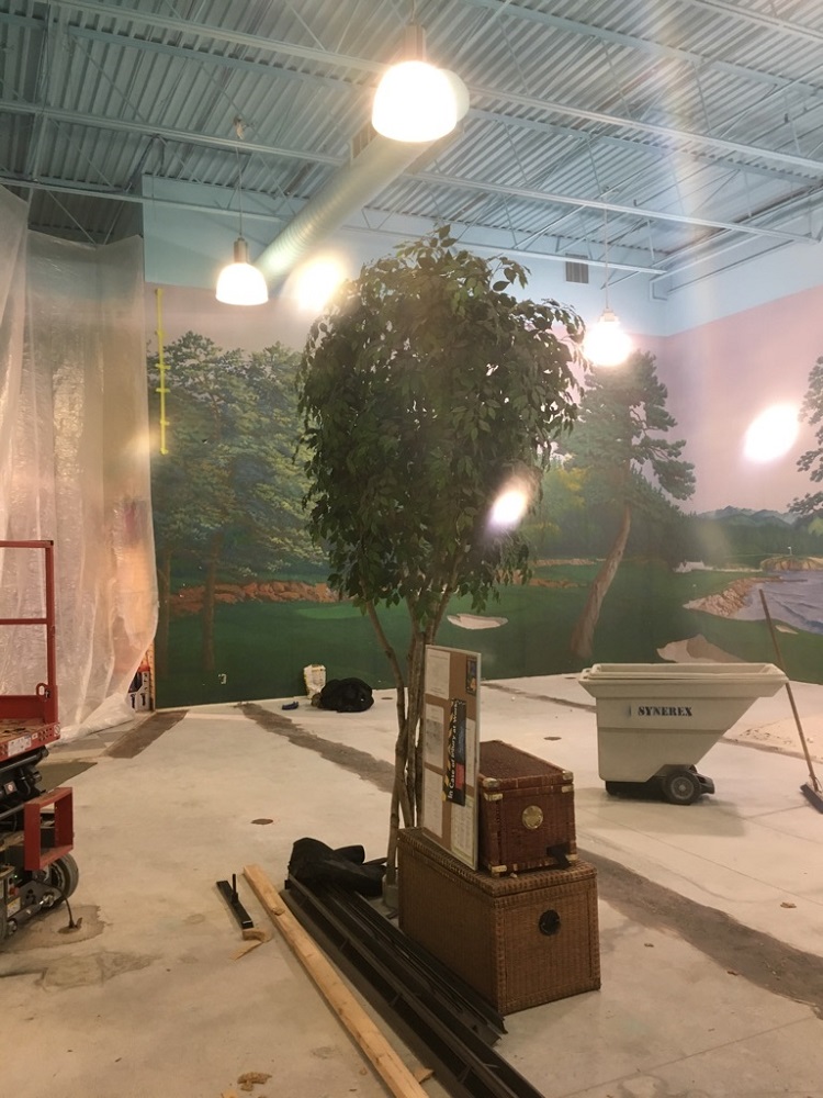 GolfTEC Woodbridge, ON Synerex Construction Group Inc.