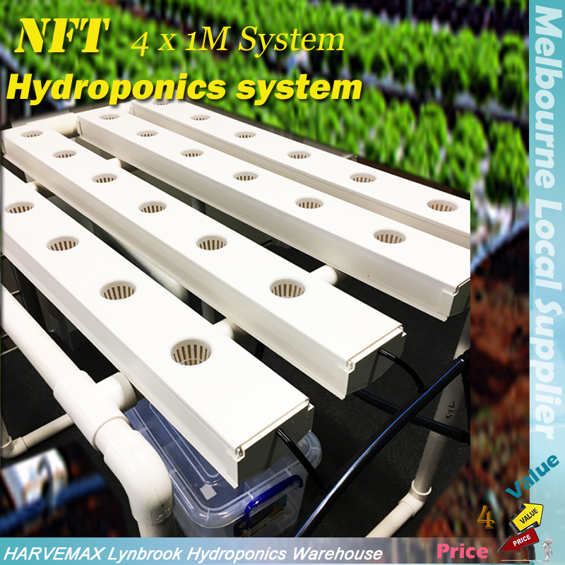 Nft System / Hydroponic Farm System Setup Services And