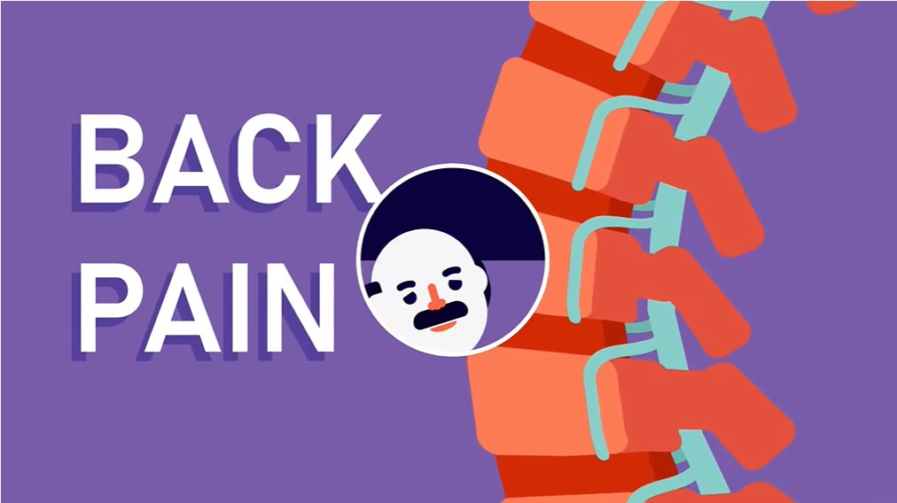 Why We Have Back Pain & Backache? Work From Home (Problem / Solution