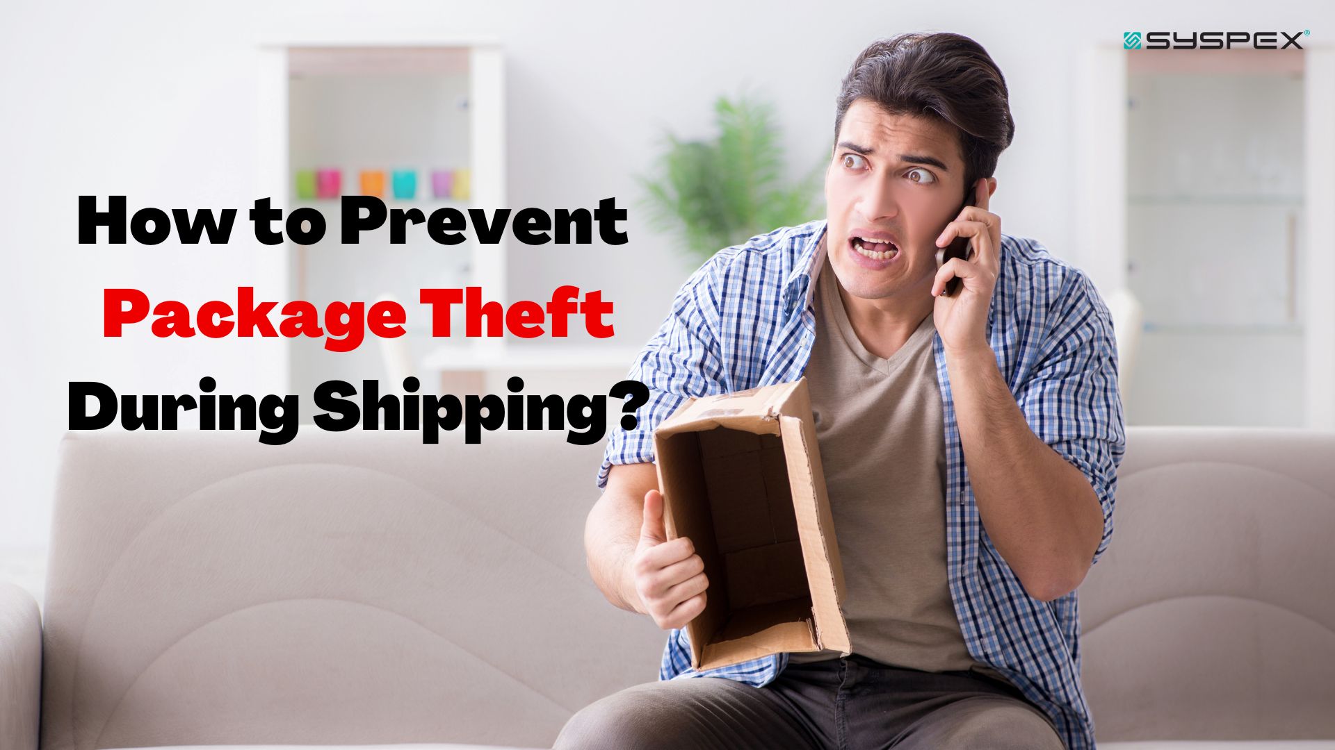 How To Prevent Package Theft During Shipping? Syspex Syspex