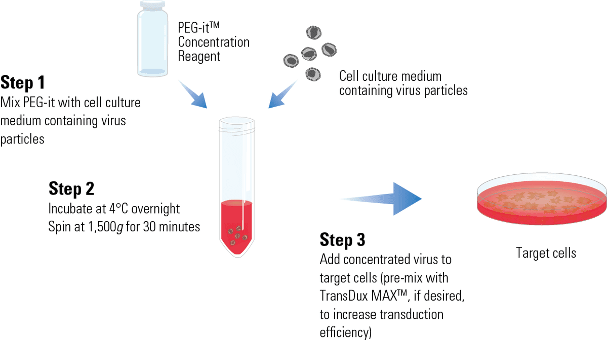 PEGit Virus Precipitation Solution System Biosciences