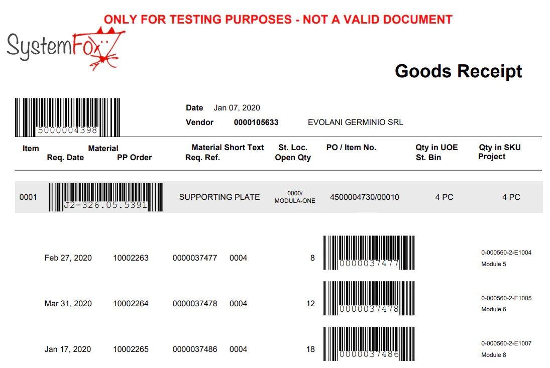 SAP development SystemFox Consulting