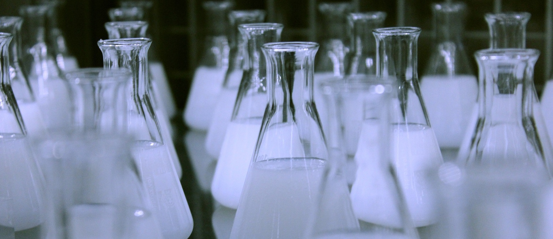 CASE STUDIES Systems Design Group