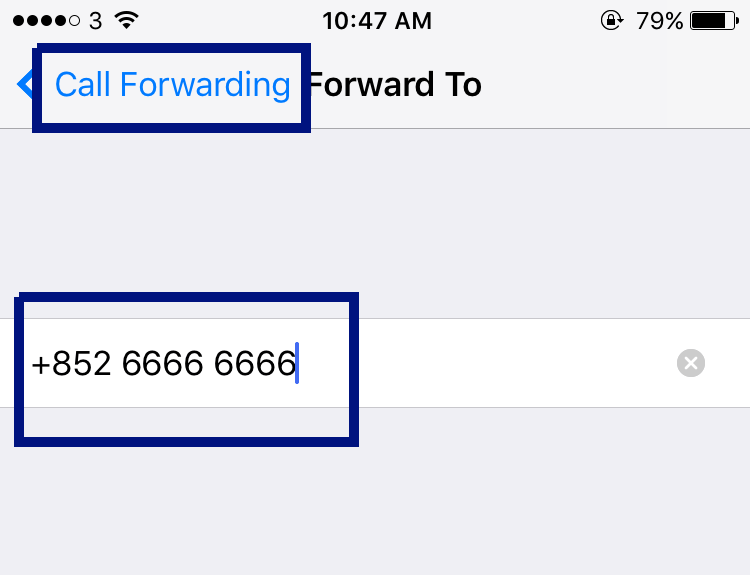 How to Set up or Disable Call Forwarding in iOS for iPhone SysTutorials