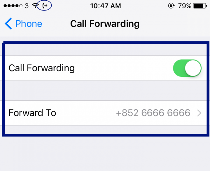 How to Set up or Disable Call Forwarding in iOS for iPhone SysTutorials