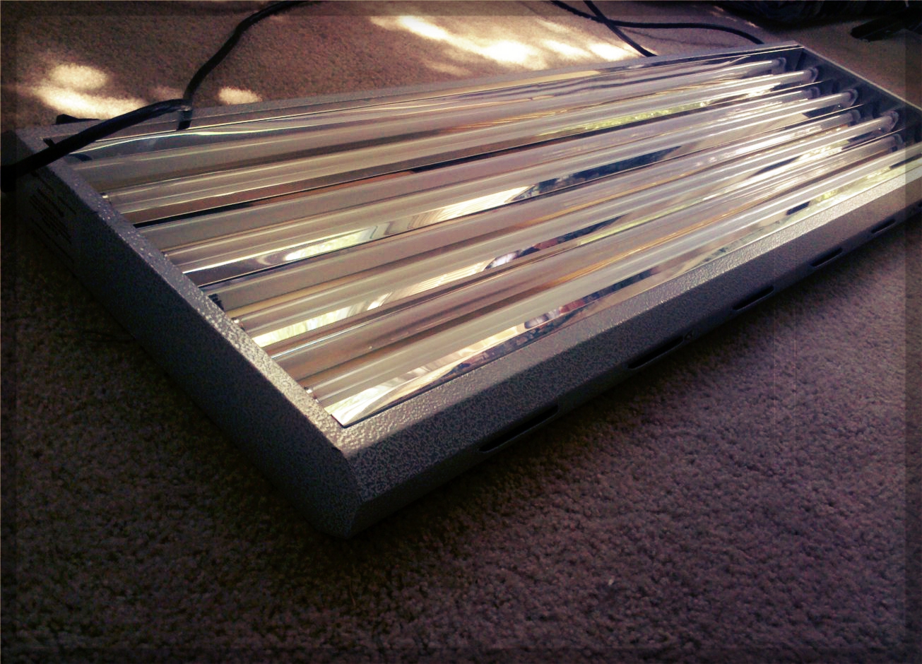 Used grow lights for sale is it wise to buy them T5 grow light fixtures
