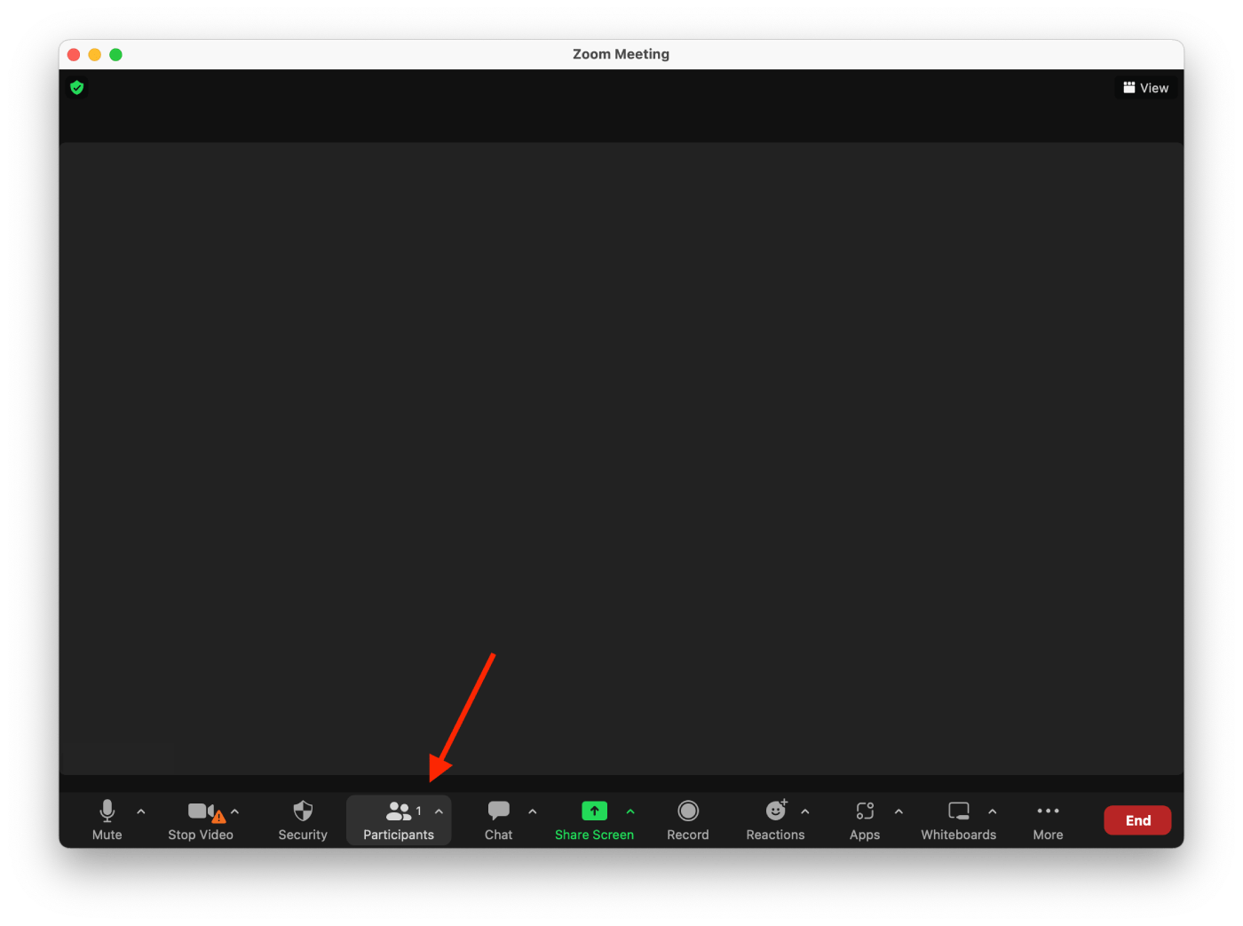 How to mute Zoom meeting TabTV