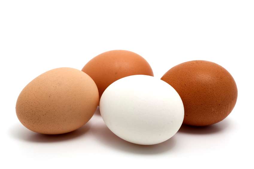 Image result for brown and white eggs