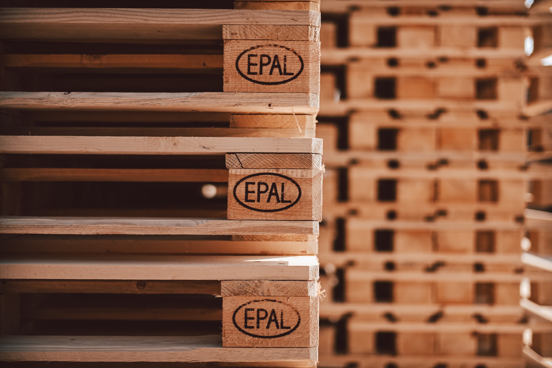 Pallet EPAL per aziende Tacchella Srl
