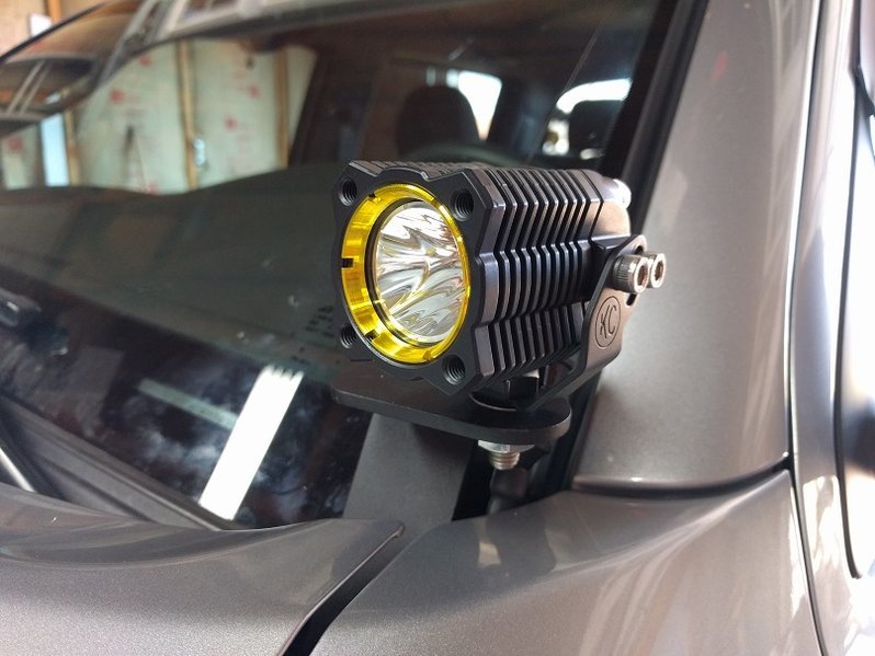 Poll What Ditch Lights World