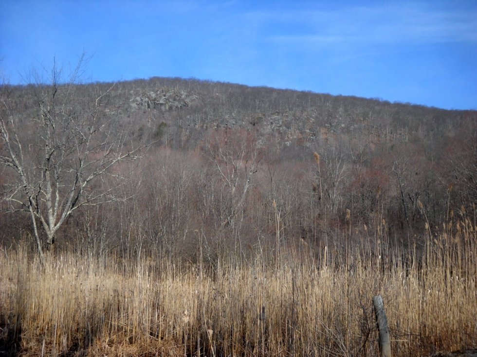 Hiking the Taconic Range