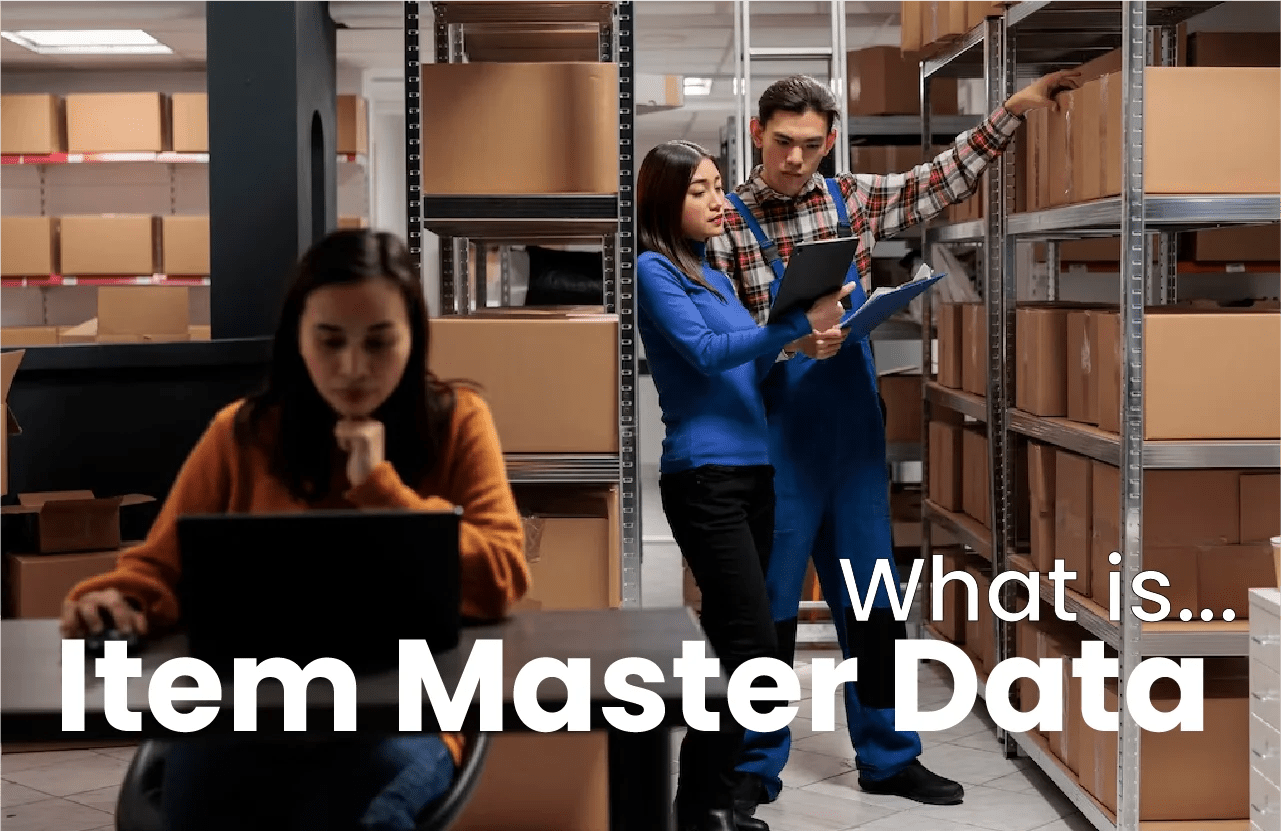 Item Master Data Definition, Importance & More TAG Samurai