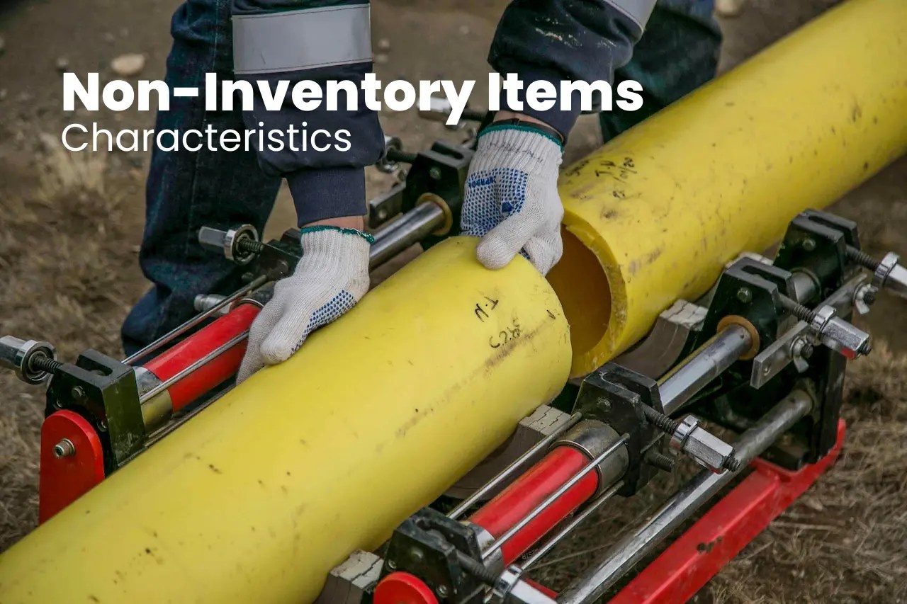 NonInventory Items Explanation, Importance & How to Manage