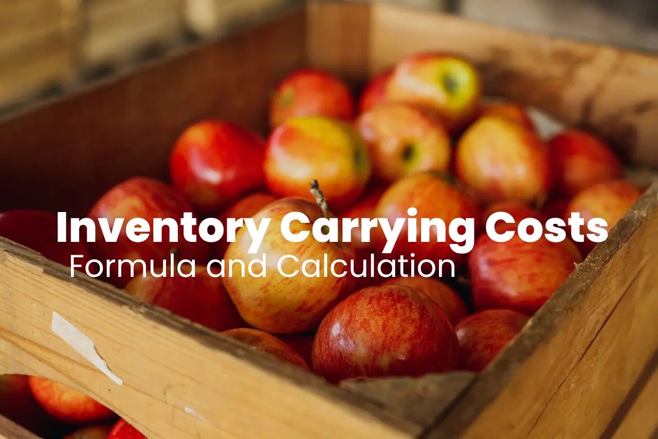 Inventory Carrying Costs Components, Strategies, Formula & More