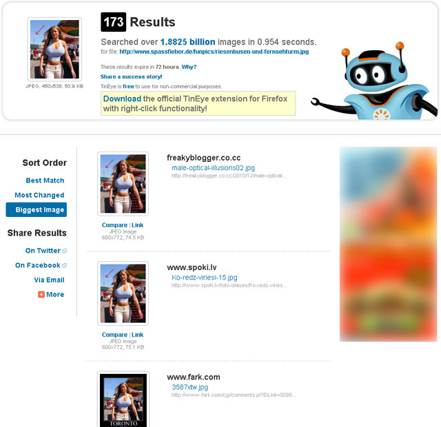 Tineye reverse image search engine