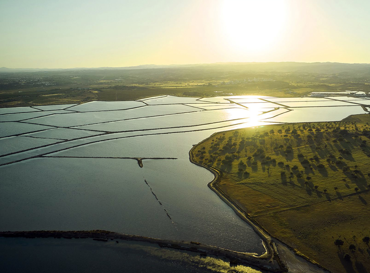 Real estate development in a privileged living environment by the sea