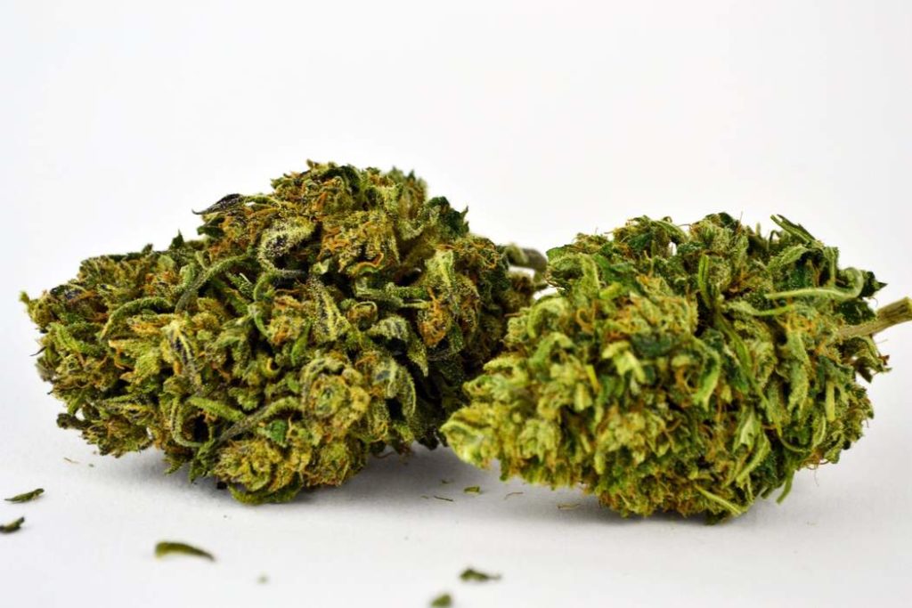 How Hemp Buds Can Be Used Effectively
