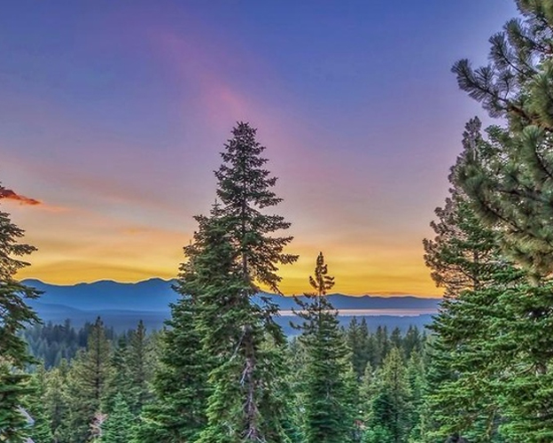 Montgomery Estates Tahoe Estates Group