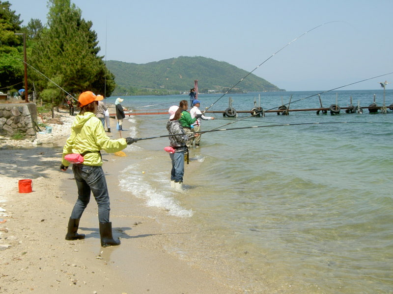 √無料でダウンロード！ 稚鮎 釣り 320775稚鮎 釣り方