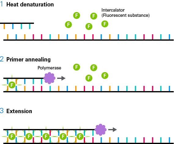 Onestep RTqPCR kits