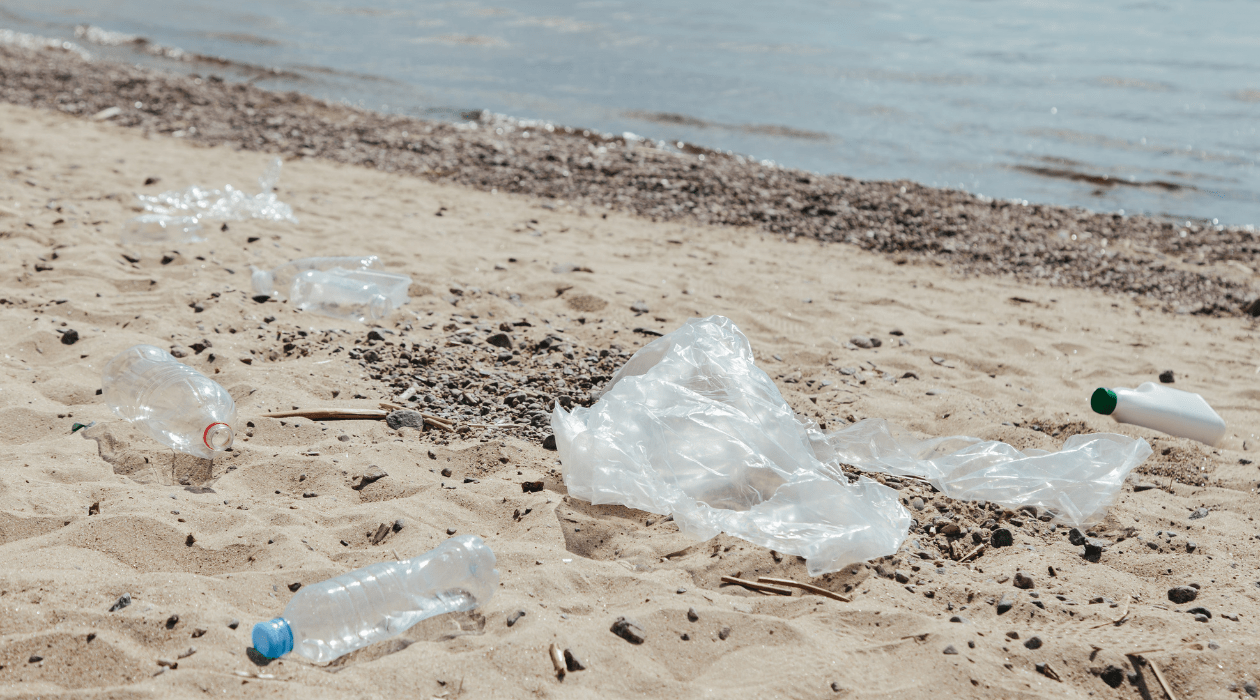UN Report reveals the shocking truth behind the global bottled water industry Take 3 For The Sea