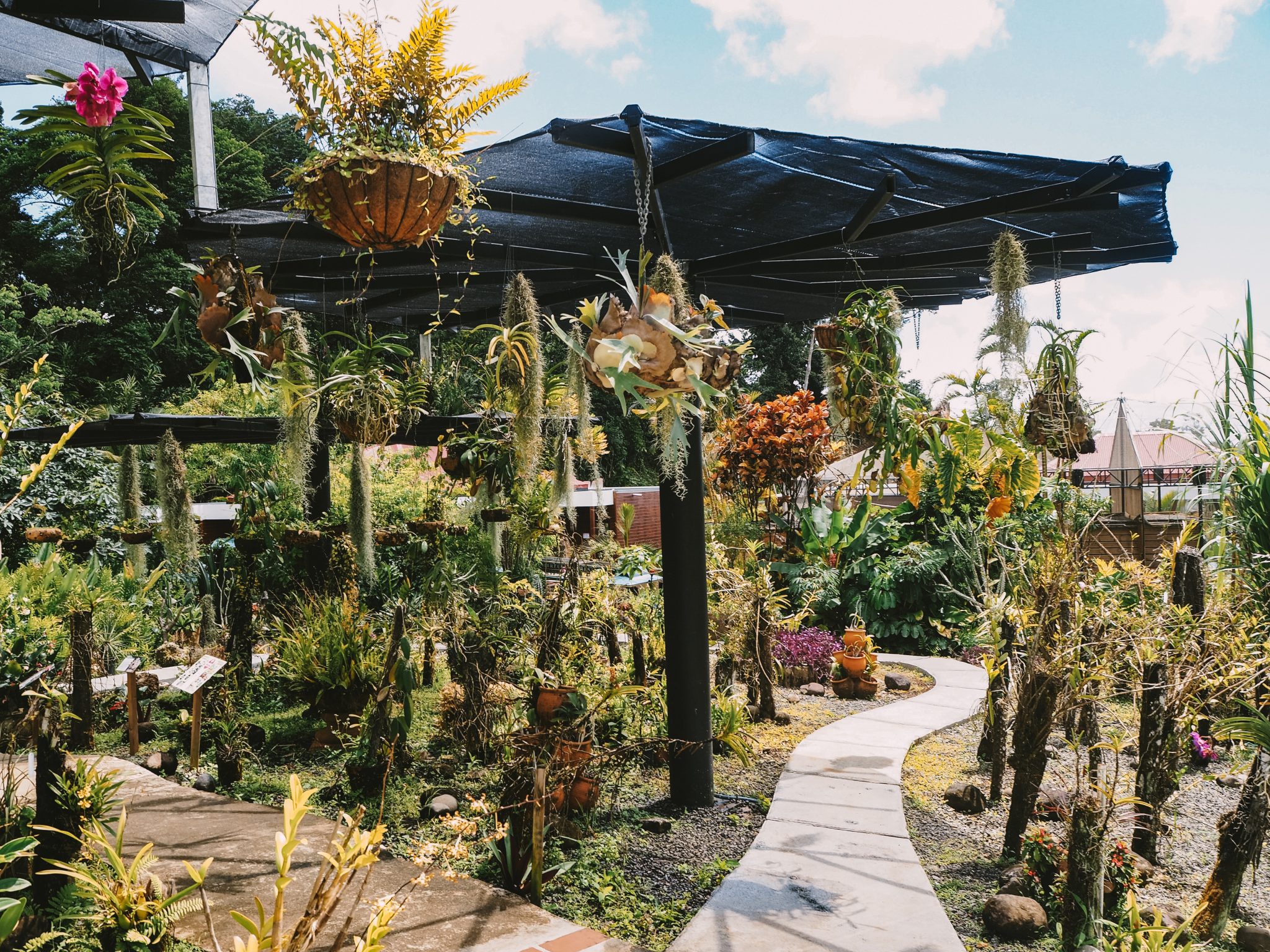 A la découverte des parcs et jardins de Guadeloupe Take off blog voyage