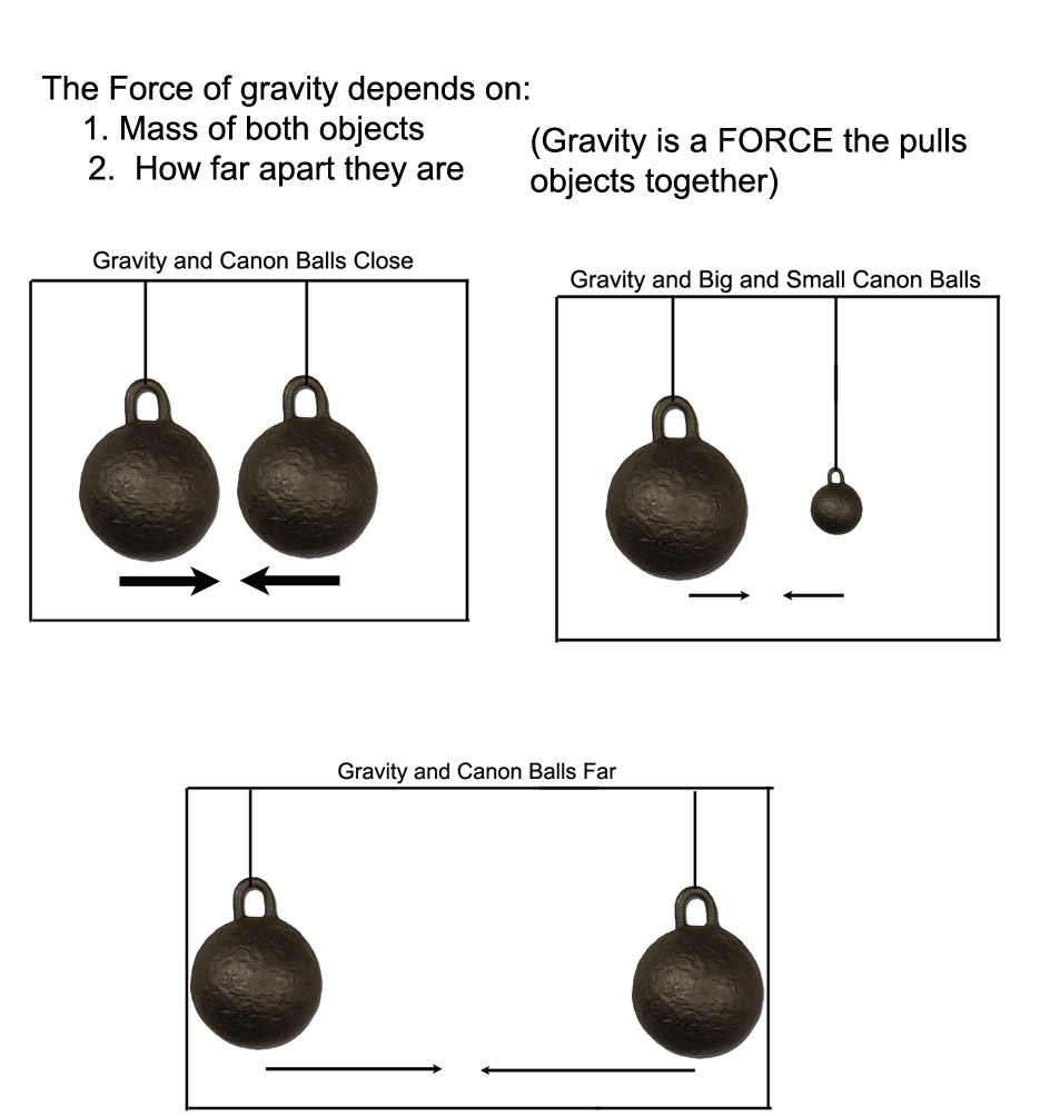 Buy Essay Online Newton's Law of Universal Gravitation