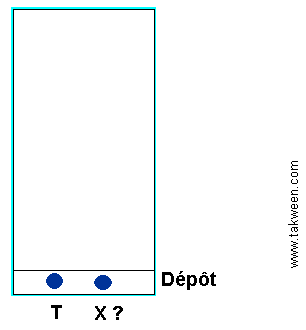 Chromatographie كروماتوغرافيا