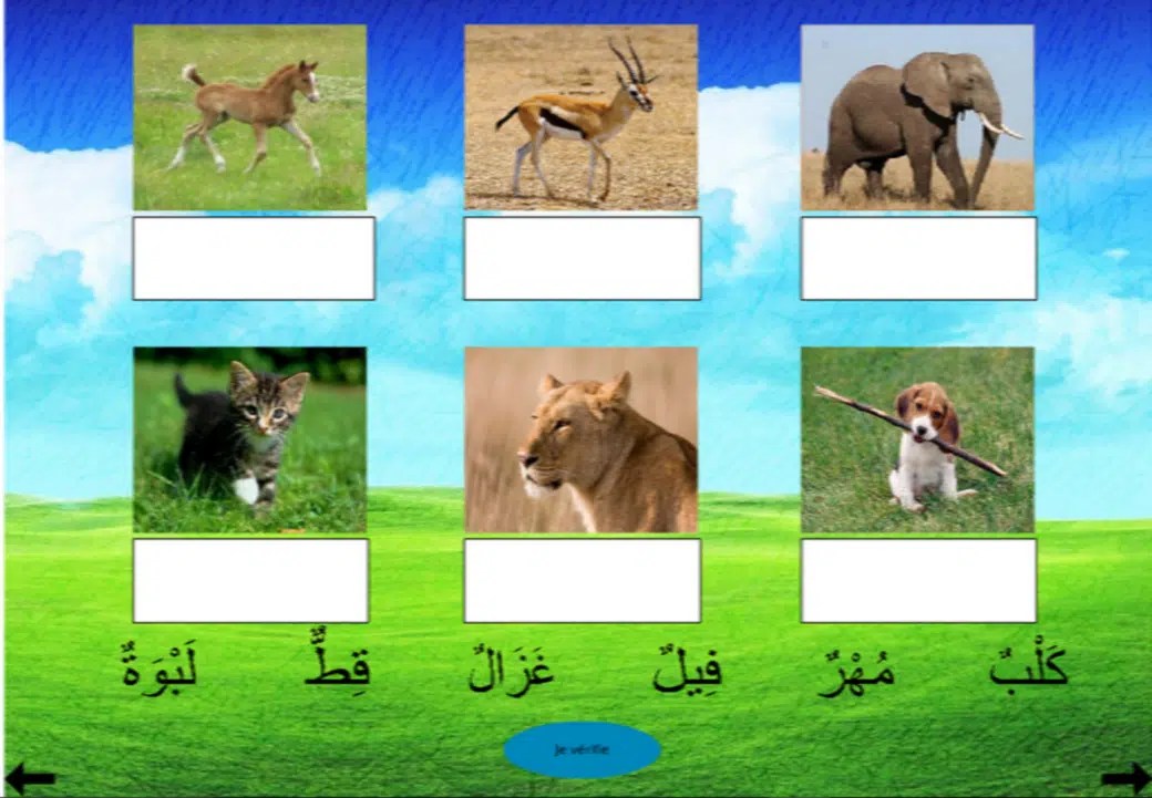L'alphabet arabe et les noms des animaux en arabe TALAMIZE